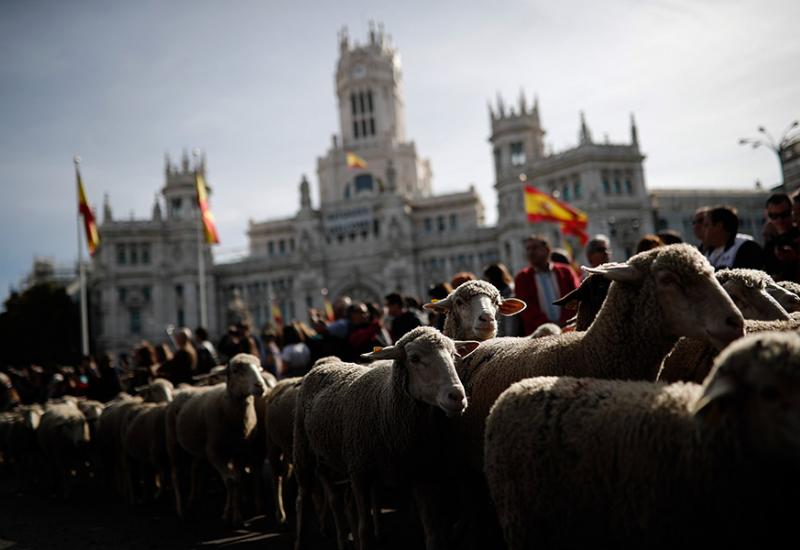 Šestosatnu manifestaciju podržala je i gradonačelnica Madrida - Ovce i koze okupirale središte grada