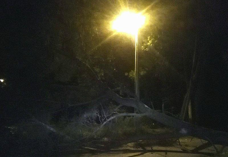 Mostar: Vjetar srušio još jedno stablo