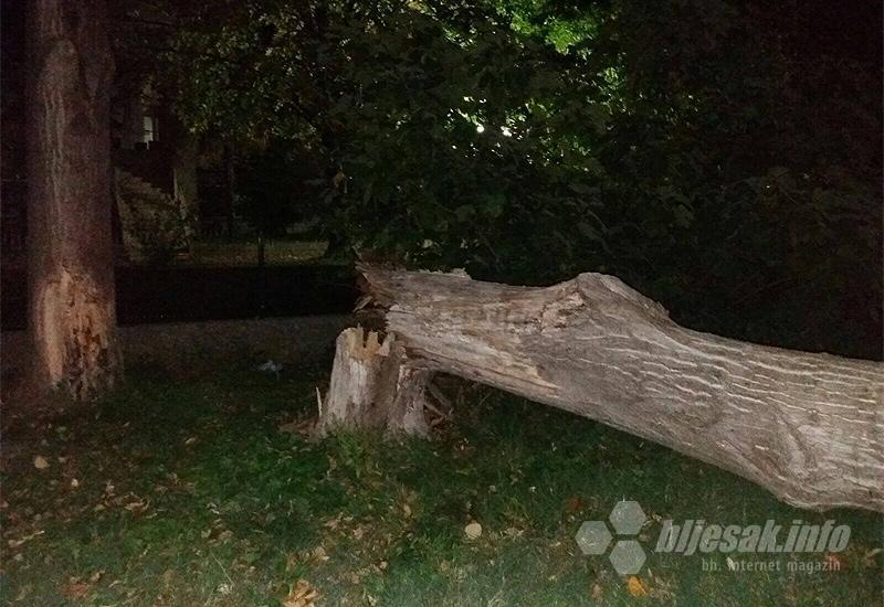 Mostar: Olujni vjetar oborio stablo i u naselju Vatikan