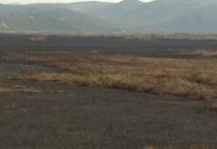 APOKALIPSA|Pogledajte koliku je štetu pričinio požar Hutovu blatu 