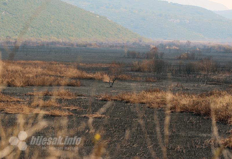Katastrofa: Ovako izgleda Hutovo blato dan poslije požara