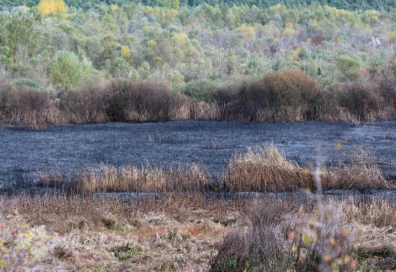 Izgorjelo oko 10 hektara Hutova blata; požar vjerojatno podmetnut
