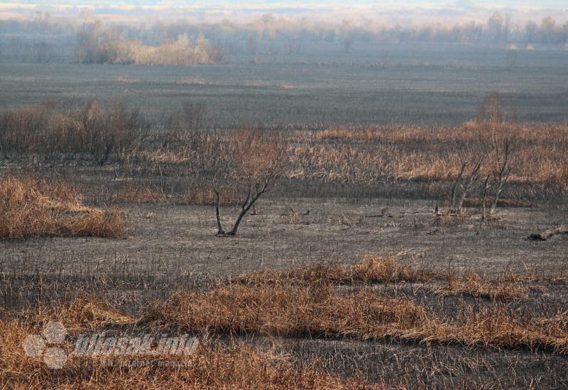 Šteta od požara na Hutovom blatu oko milijun maraka