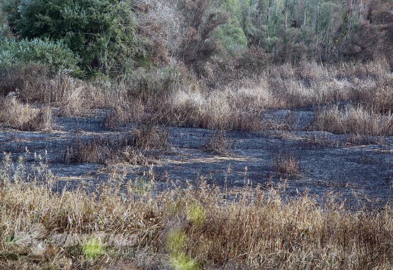 Posljedice požara u Hutovu blatu: Inspektori okoliša će sačiniti cjelovit nadzor