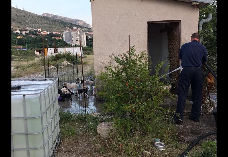 Mostar: Pomozimo vatrogascima u spašavanju malenih psića