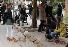 I Mostar prosvjedovao zbog nezakonitog hvatanja i ubijanja pasa