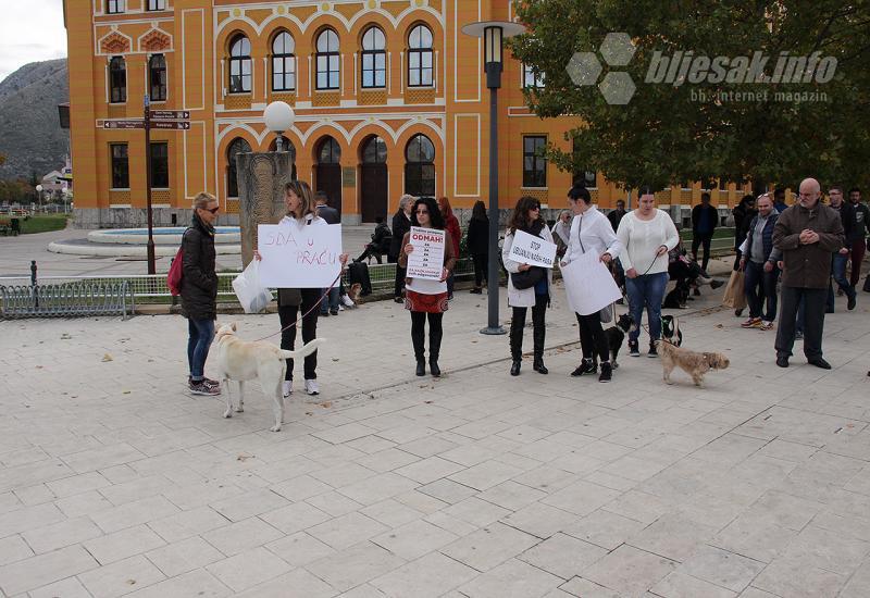 I Mostar prosvjedovao zbog nezakonitog hvatanja i ubijanja pasa