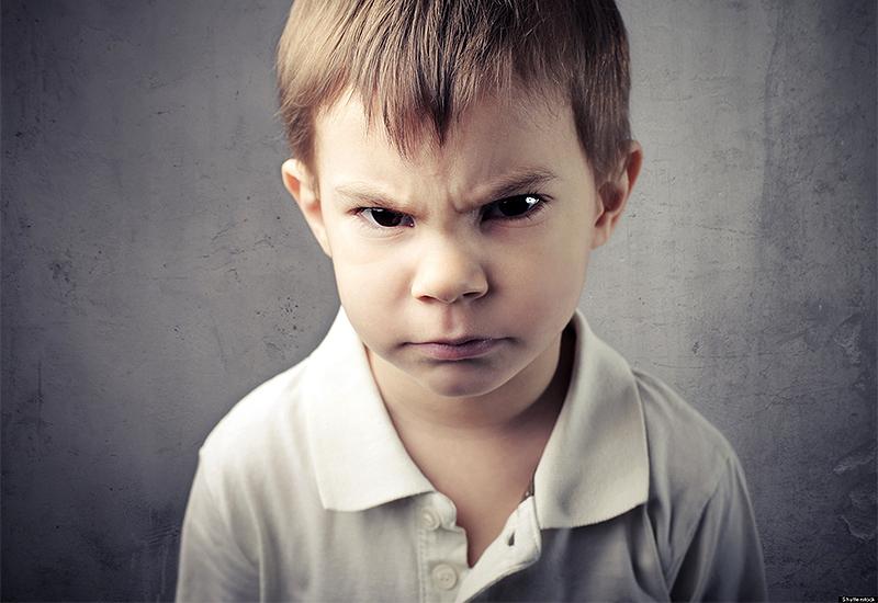  Agresivnost kod djece: kada su krivi geni, a kada odgoj? 