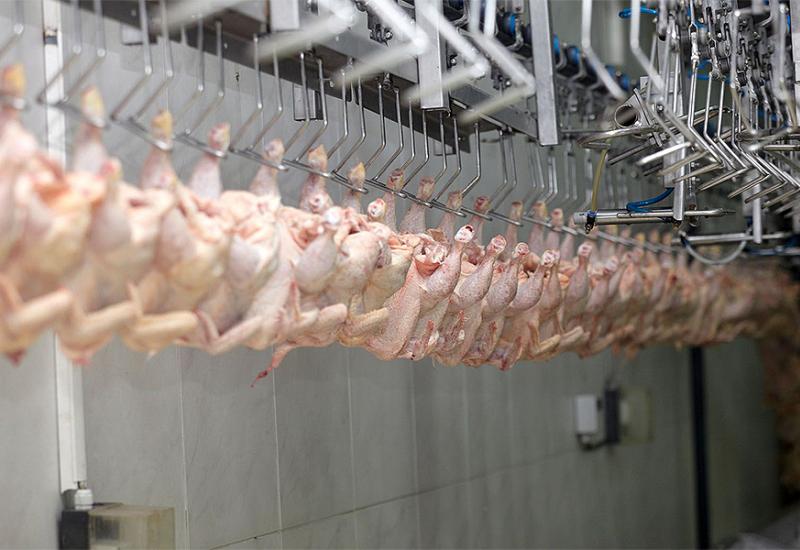 Kineska proizvodnja piletine snažno raste