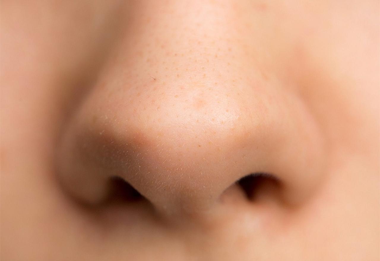 Покажи картинки носа. Нос. Детский нос. Изображение носа для детей. Нос картинка.
