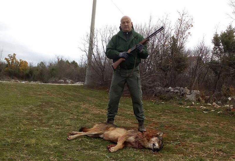 Čitluk: Lovočuvar ubio vuka kapitalca 