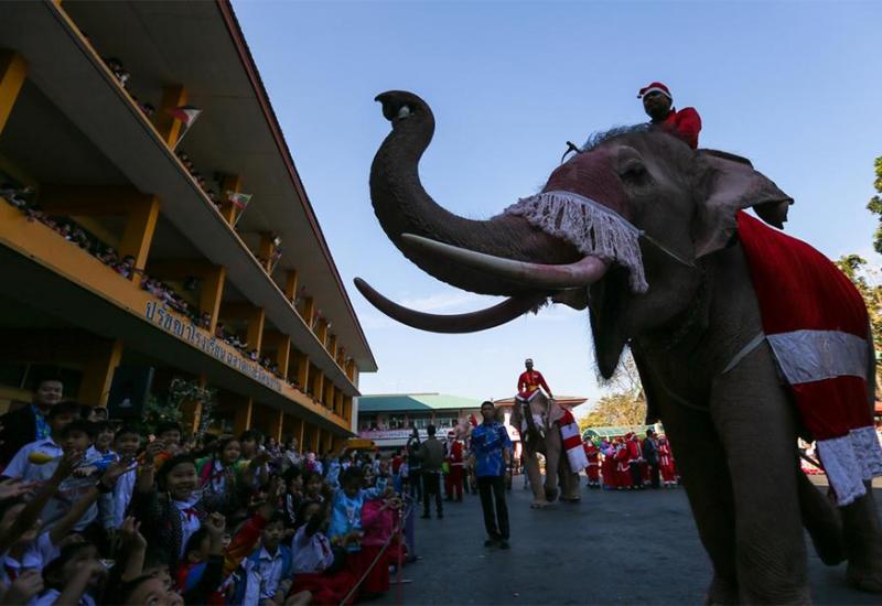 Slonovi su djecu zabavljali i nekim plesnim pokretima koje su naučili. - Djeci na Tajlandu darove nose slonovi 