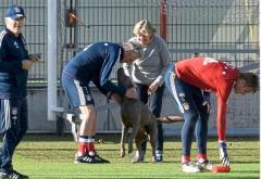 U slavnom njemačkom Bay­ernu vlada prava pomama za psima