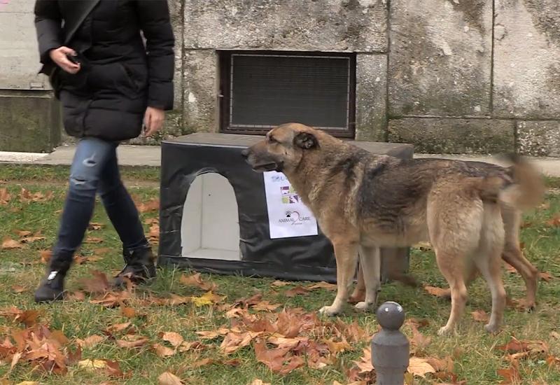 Mostar - tople kućice za pse s ulice