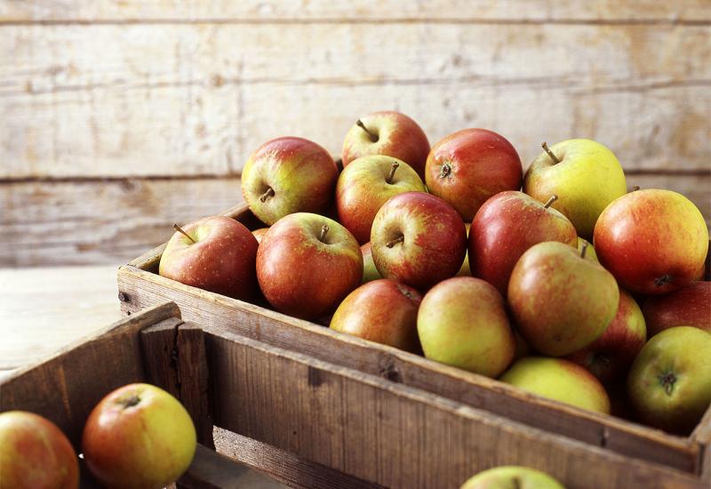 Izvoz jabuka ide u Tužiteljstvo
