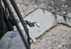 Priznanje patnje prilika za suživot: Sa Starog mosta bačene bijele ruže 