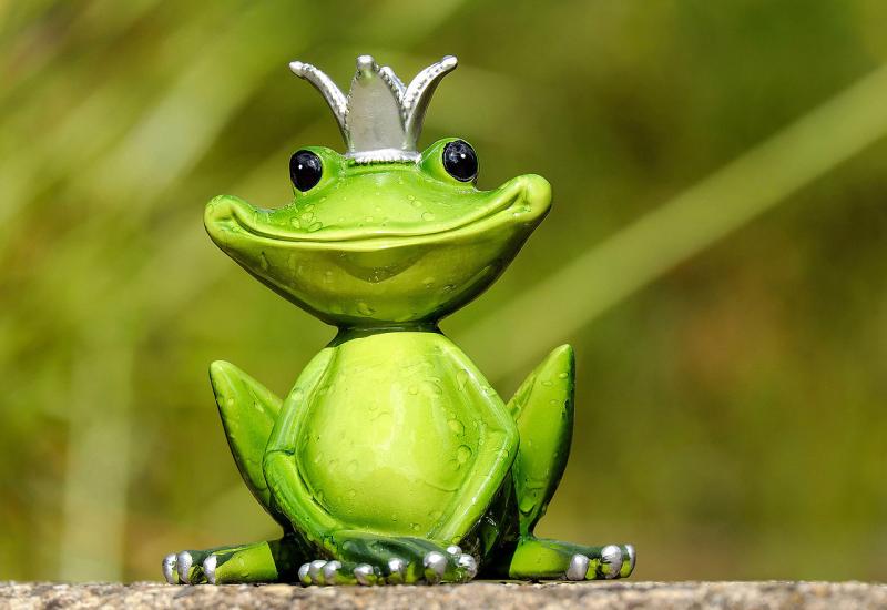 Najpoznatiji žabac na svijetu traži pomoć u pronalasku ljubavi
