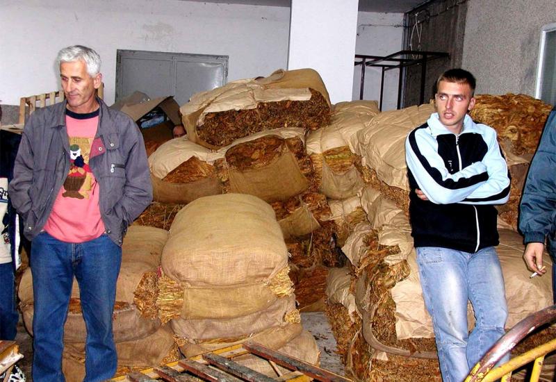 Proizvodnja duhana: Hercegovci se okanuli ''ćorava posla'' i odrekli 'žutog zlata'