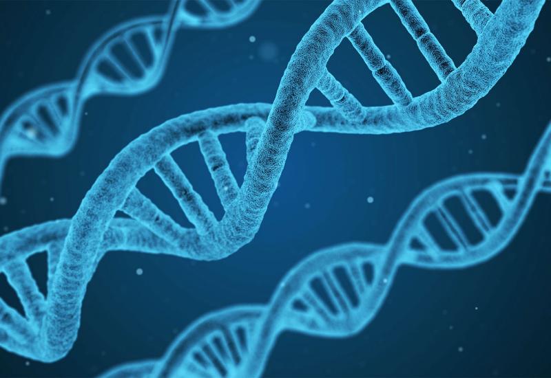 Otkriven kromosom koji će pomoći u istraživanju muške neplodnosti