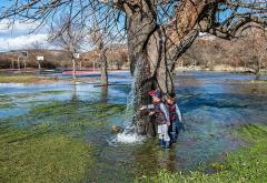 Rijedak prirodni fenomen u Crnoj Gori: Stablo murve iz kojeg izvire voda