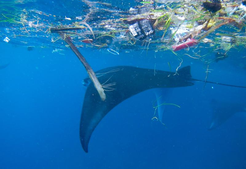 U obalnim vodama do 100 puta je više mikroplastike nego prije 6 godina