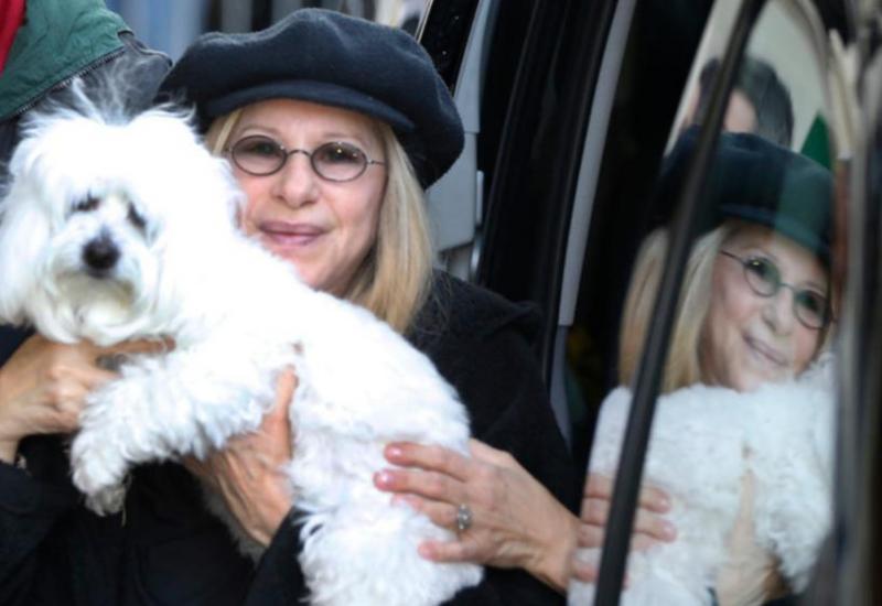 Kujica Samantha i nakon smrti nastavlja živjeti s Barbrom Streisand