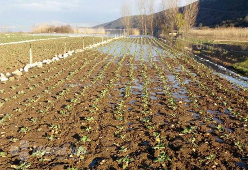 Poplava u Svitavi nanijela je velike štete u poljoprivredi - Čapljina: Naselje Svitava pod vodom, mještani tuže Elektroprivredu HZHB