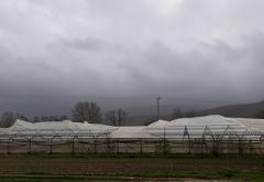 Vjetar uništio plastenike na području Čapljine