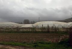 Vjetar uništio plastenike na području Čapljine