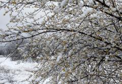 Snijeg u okolici Mostara za prvi dan proljeća
