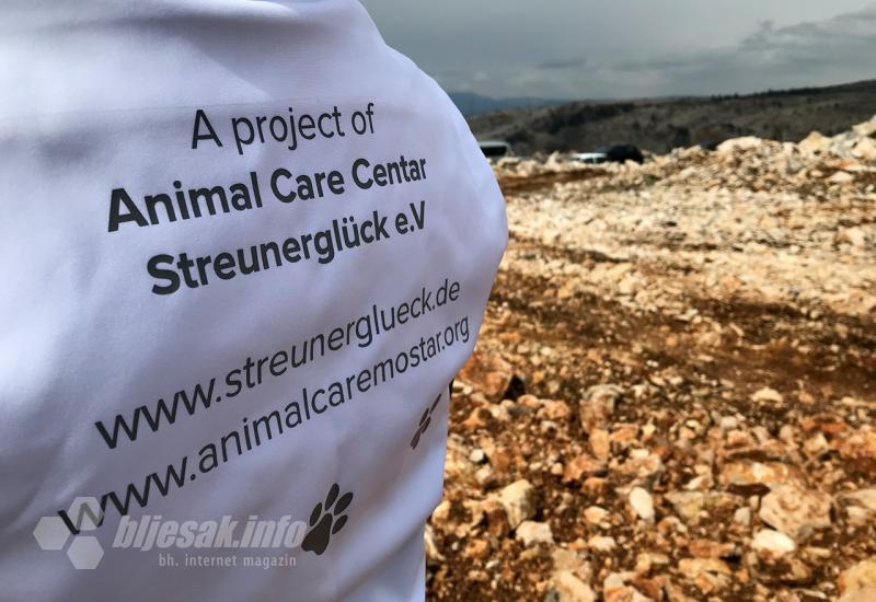 Stray Village: Službeno počela izgradnja skloništa za životinje