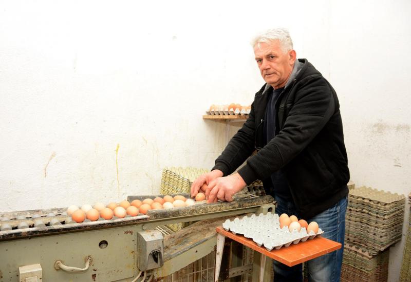 Farma koka u Čitluku proizvede dnevno 8.000 jaja