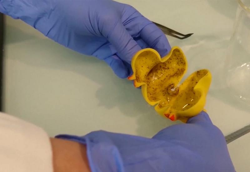  Upozorenje roditeljima: Gumene patke za kupanje su raj za opasne bakterije
