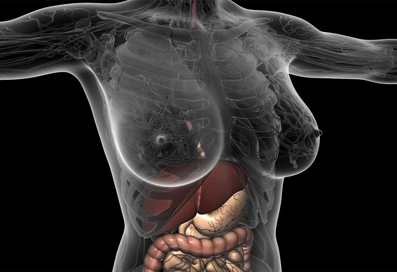 Otkriven novi organ u ljudskom tijelu