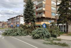 Vjetar čupao stabla u Zenici i Sarajevu; Otkazani letovi na sarajevskom aerodromu