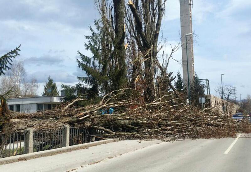 Vjetar čupao stabla u Zenici i Sarajevu; Otkazani letovi na sarajevskom aerodromu
