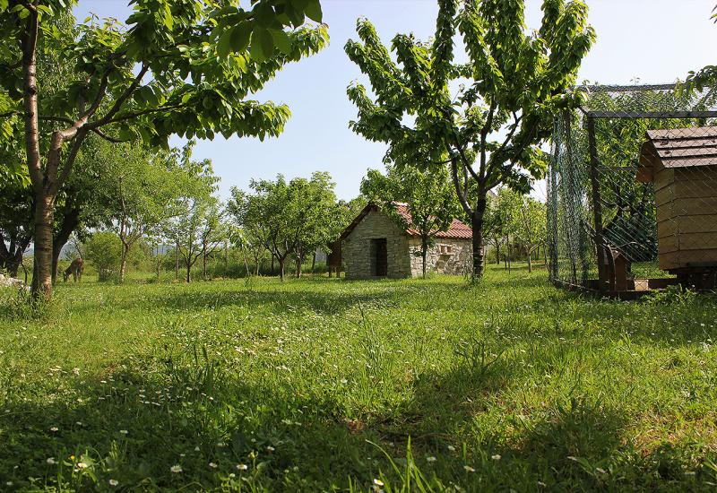 Nema mira u mirovini - Farmu pretvorili u malu ''školu u prirodi''