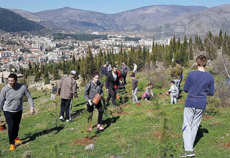 Akcija pošumljavanja u Mostaru: Volonteri posadili 4500 sadnica
