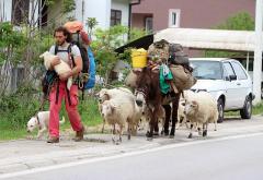 Hodočasnik u Hercegovini: Iz Italije s ovcama i magarcem ide za Siriju