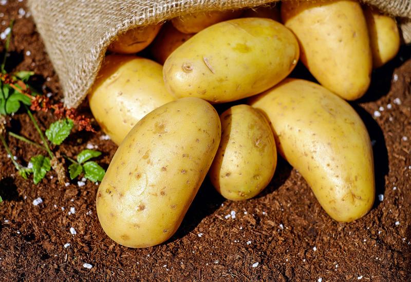 Zbog nestašice domaćeg, u Hercegovinu stigao krumpir iz Bjelorusije
