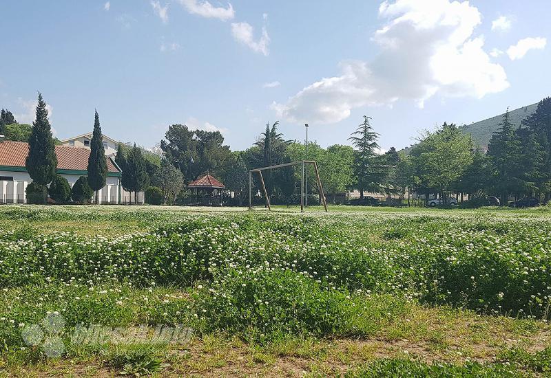 Ništa kosilica, ništa trimer: Mostarski stadion zarastao u travu 