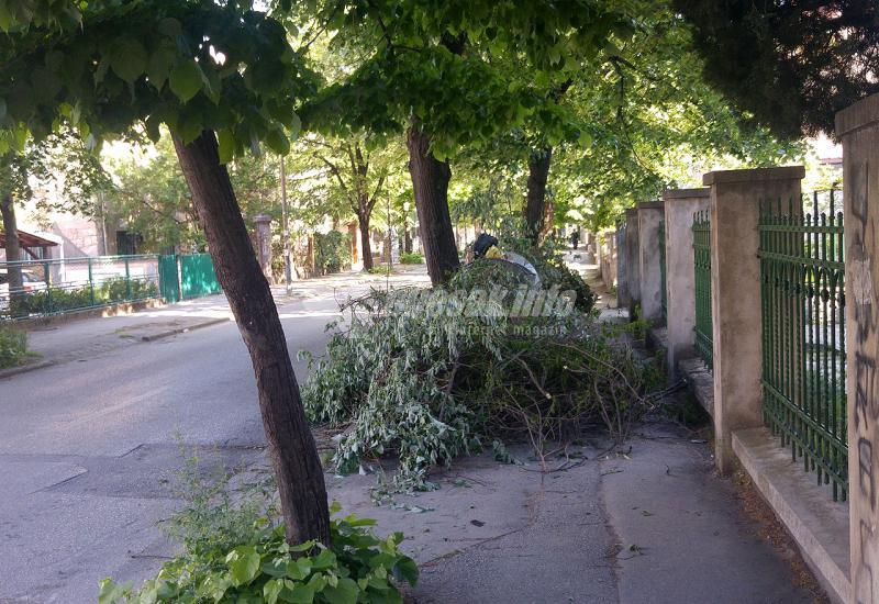 Ispilane grane blokiraju nogostup u Ulici Mile Budaka - Novo ruglo u Mostaru: Ispilanim granama blokirao nogostup