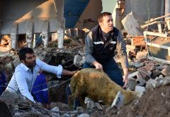 Jači potres pogodio Tursku, 39 osoba ozlijeđeno