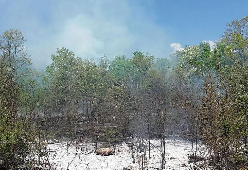 Široki Brijeg: Vatrogasci uspješno ugasili šumski požar