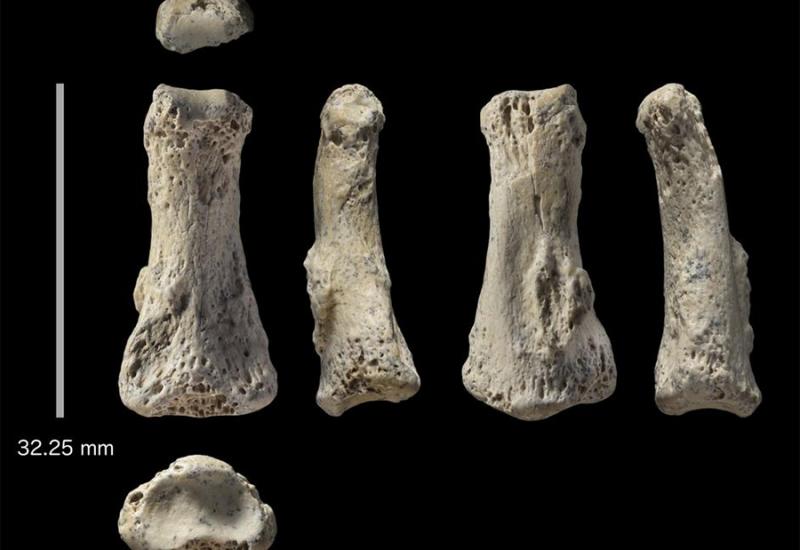 Otkriće jedne kosti mijenja ljudsku povijest
