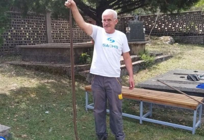  Mate Tolić Ćišić - Hercegovina: Stanovnici se bore sa zmijama