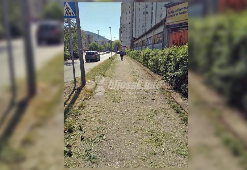 Trava na ulici u Mostaru - 