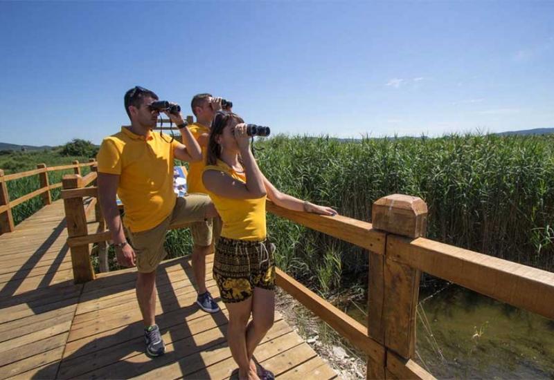 Turisti žele promatrati bh. ptice