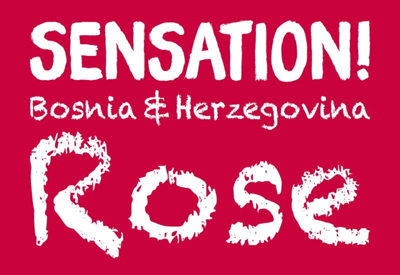 Nova senzacija, iz tradicije rođena - Sensation Bosnia & Herzegovina Rose
