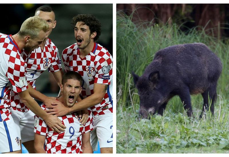  - Rusija:  Hrvatska reprezentacija 